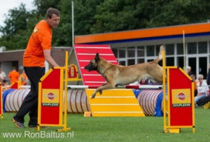 Tom_stricker_Parcours
